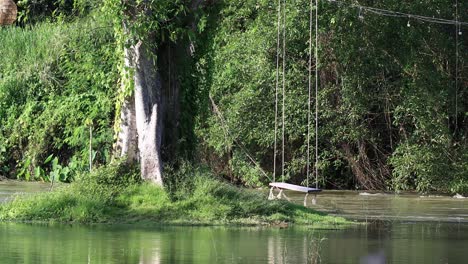 4k-Baum,-Umgeben-Von-Fließendem-Flusswasser-Und-Seilschaukel-Mit-Wunderschönem-üppigem-Grün