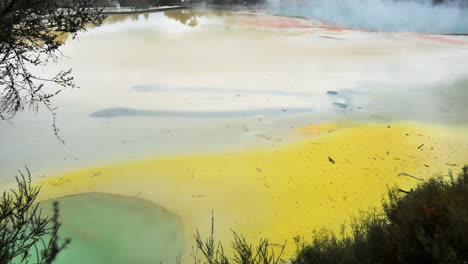 Yellow-colored-water-pools-with-rising-steam-of-boiling-lake-in-New-Zealand-Hydrothermal-area---natural-phenomenon