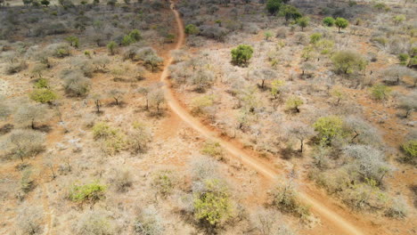 Aerial-of-distant-motorbike-driving-over-dirt-road-in-rural-Kenya---drone-flying-backwards