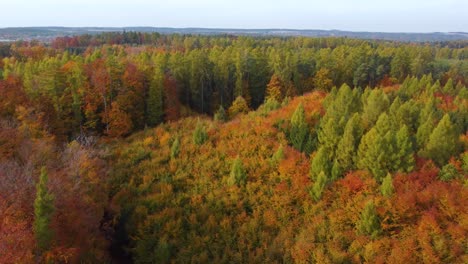 Luftaufnahme-Eines-Herbstlichen-Mischwaldes-Mit-Sichtbarem-Horizont,-Sonnig