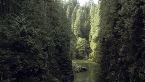 Fliegen-Durch-Epische-Dichte-Waldschlucht-Mit-Bäumen-Entlang-Von-Klippen-Und-Fließenden-Stromschnellen-In-British-Columbia,-Kanada