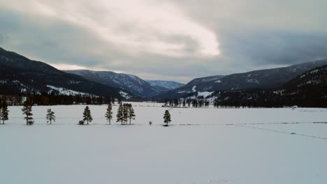 Winterliche-Schönheit:-Schneebedeckte-Felder-Und-Bewaldete-Berge-Während-Eines-Wolkenbruchs-In-Der-Nähe-Von-Westwold-In-Der-Thompson-nicola-Region:-Breite-Luftaufnahme