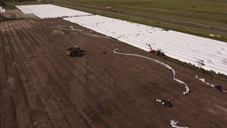 Aerial-flyover-farm-field-with-tractor-and-silo-bags-during-harvest-loading-process-in-rural-area-during-sunlight
