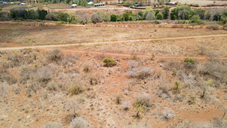Flying-over-a-dry-landscape-with-arid-bushes-towards-solitary-buildings-in-rural-Kenya