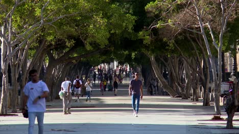 Paseo-del-Prado-in-Havana,-Cuba-with-people-walking-along-the-promenade-framed-with-trees