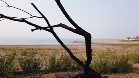 View-Of-Empty-Beach-And-Seascape-Through-Leafless-Tree-Branch