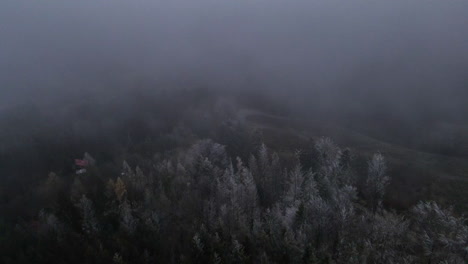 Volando-Sobre-El-Paisaje-Y-El-Bosque-Bajo-La-Espesa-Niebla-Durante-La-Noche-De-Invierno