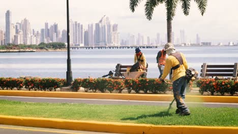 A-public-worker-cutting-the-grass-of-the-Amador-Causeway-boulevard,-in-the-distance-across-the-waters-of-the-Panama-Canal-a-spectacular-scenic-view-of-the-modern-urban-cityscape-of-Panama-City