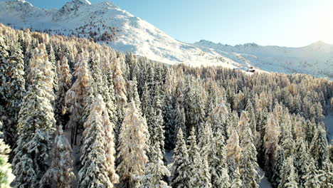 Luftaufnahme-Eines-Frisch-Verschneiten-Waldes-In-Den-Alpen-Mit-Holzhütten-Im-Sonnenaufgang