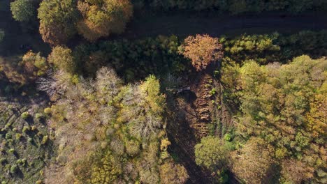 Drohnenansicht-Der-Entwaldung-In-Großbritannien