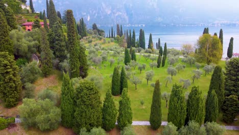 Cypresses-of-Bellagio_Beautiful-Lake-Como-Pano