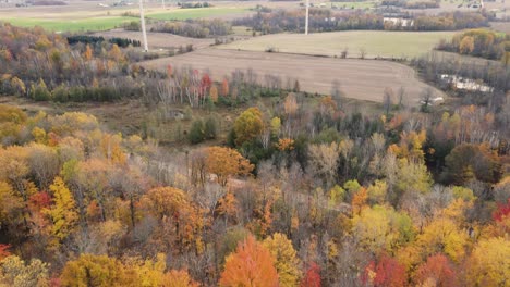 Herbstfarben-In-Der-Mitte-Von-Michigan