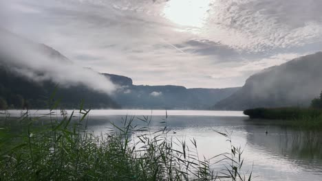 Schöner-See-Mit-Nebel-Am-Morgen