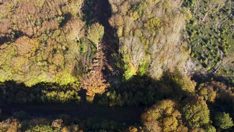 Beispiel-Für-Die-Entwaldung-In-England,-Aufgenommen-Von-Einer-4K-Drohne