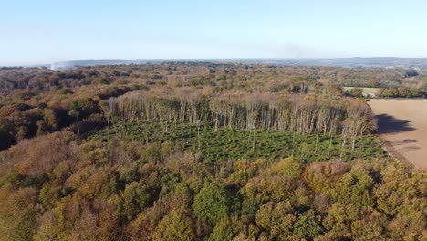 Abholzung-In-England-In-4k-Von-Einer-Drohne-Aufgenommen