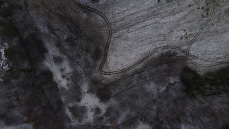 über-Die-Bäume-Fliegen-Und-Den-Wald-Bei-Leicht-Einsetzendem-Schneefall-überblicken