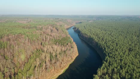 AERIAL:-Flying-Above-River-and-Green-Pine-Forest