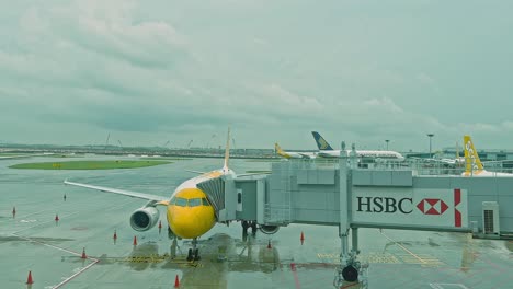 4k-timelapse-video-of-Airplane-being-preparing-ready-for-takeoff-in-international-airport