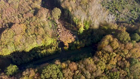 Entwaldung-In-Kent-England,-Aufgenommen-Von-Einer-4k-Drohne-In-Denge-Wäldern
