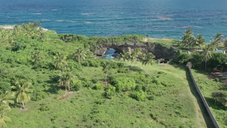 Aerial-forward-over-lush-vegetation-at-La-Hondonada-in-Samana-Peninsula,-Dominican-Republic