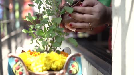 Frauen,-Die-Tulsi-wasseropfer-Und-Blumen-Tun-Poojan-Diwali-Festivalritual-In-Der-Morgendlichen-Kalash-Thali-Hand