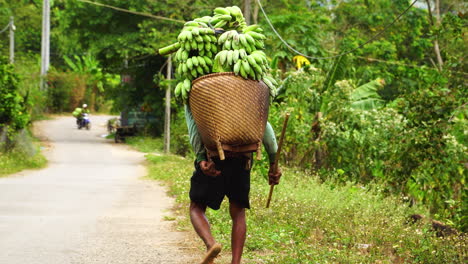Parque-Nacional-Binh-Phuoc-Plantación-De-Plátanos-Agricultura-De-Alimentos-Tropicales-Orgánicos
