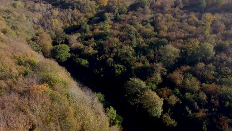 Drohnenaufnahmen,-Die-Einem-Naturlehrpfad-In-Herbstfarbenen-Bäumen-Folgen
