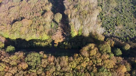 Drohne,-Die-Die-Entwaldung-In-Großbritannien-Beobachtet