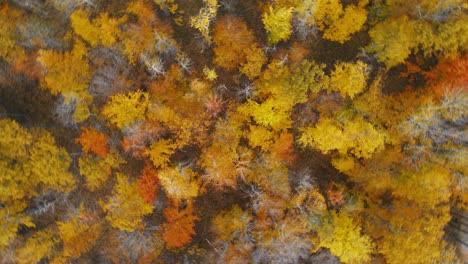 Fast-aerial-spin-over-changing-fall-colors