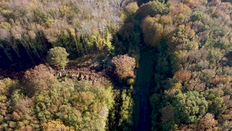 Abholzung-In-England,-Aufgenommen-Von-Einer-4K-Drohne