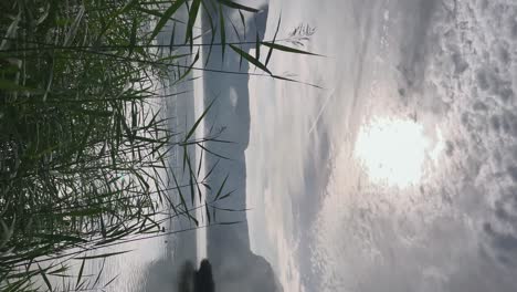 Vertikales-Video-Von-Grünen-Blättern-Vor-Einem-Ruhigen-Und-Meditativen-See-Mit-Nebel-Am-Morgen