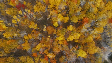Luftdrehung-über-Wunderschöne-Farben-Mitten-Im-Herbst