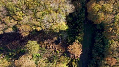 Entwaldung-In-Großbritannien,-Aufgenommen-Von-Einer-Drohne-In-4k