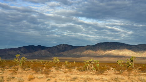 Conduciendo-Por-El-Desierto-De-Mojave-Y-Viendo-Pasar-Los-árboles-De-Joshua-Como-Centinelas-Silenciosos
