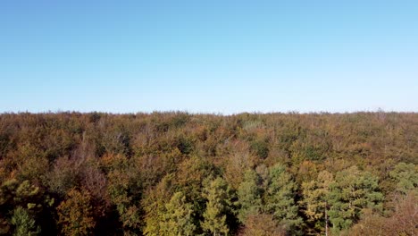 Slow-dolly-forward-by-drone-over-forest-with-autumn-colours