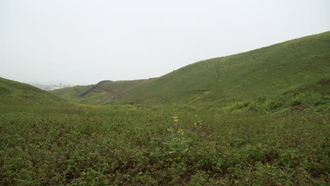 Panning-left-to-right-shot-of-a-grassy-field-in-Lomas-de-Manzano,-Pachacamac,-Lima,-Peru