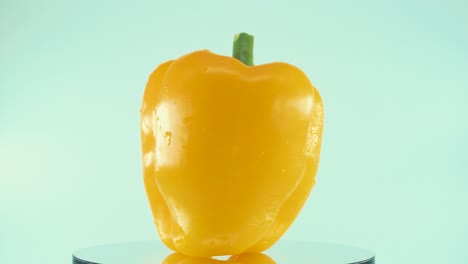 A-close-up-shot-of-a-sweet-yellow-pepper-on-a-reflecting-rotating-stand-360,-slow-motion,-4k