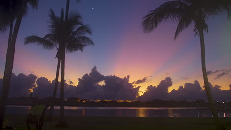 Silhouetted-Palm-Trees-Before-Vibrant-Pre-Dawn-Sky-In-South-Florida,-U