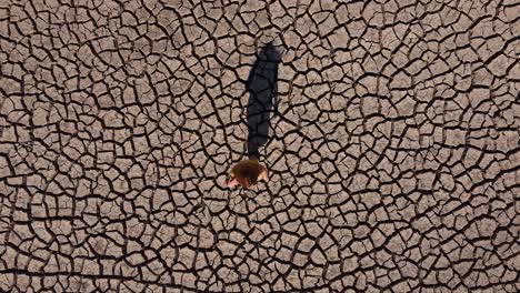 Overhead-view-of-a-girl-walking-barefoot-across-a-dry,-cracked-and-barren-landscape