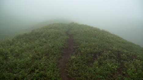 Tilting-down-shot-of-a-foggy-day-on-a-hilltop-in-Lomas-de-Manzano,-Pachacamac,-Lima,-Peru
