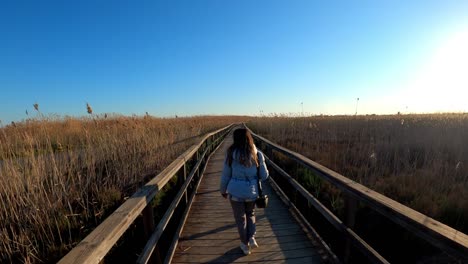 Woman-walking-through-a-wildlife-preserve-on-a-cool-autumn-day