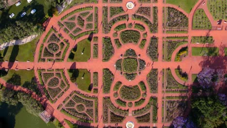 Aerial-overhead-view-of-the-geometric-figures-of-the-Palermo-Rose-Garden,-Buenos-Aires,-Argentina