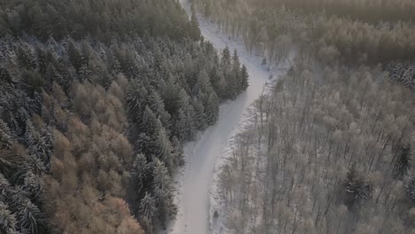 The-drone-flies-over-the-forests,-which-are-crossed-by-a-snowy-road