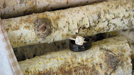 Luxury-diamond-wedding-rings-on-rustic-birch-tree-logs-background