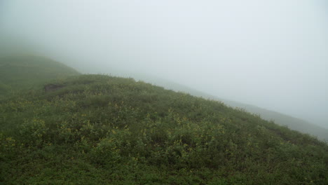 Enfoque-Tirando-De-Una-Colina-Neblinosa-En-Lomas-De-Manzano,-Pachacamac,-Lima,-Perú.