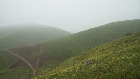 Still-shot-of-passing-fog-in-Lomas-de-Manzano,-Pachacamac,-Lima,-Peru