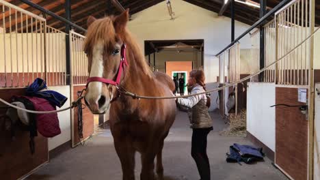 Cute-little-young-red-haired-girl-brushing-horse-inside-stable
