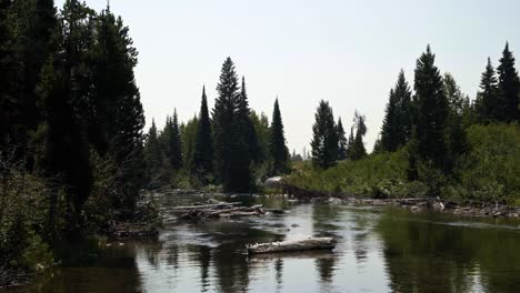 Beautiful-landscape-nature-view-of-a-small-creek-with-logs-and-rocks-inside-and-pine-trees-surrounding-in-the-Grand-Tetons-National-Park-in-Wyoming-on-a-warm-hazy-summer-day