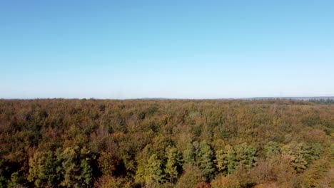 Fliegen-über-Wald-Mit-Herbstfarben-Und-Klarem-Blauem-Himmel