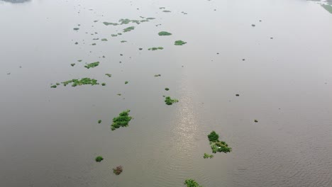 Einige-Wasserhyazinthenpflanzen-Bedecken-Den-See